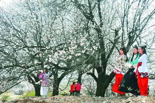 NBA季后赛 篮球比分捷报手机